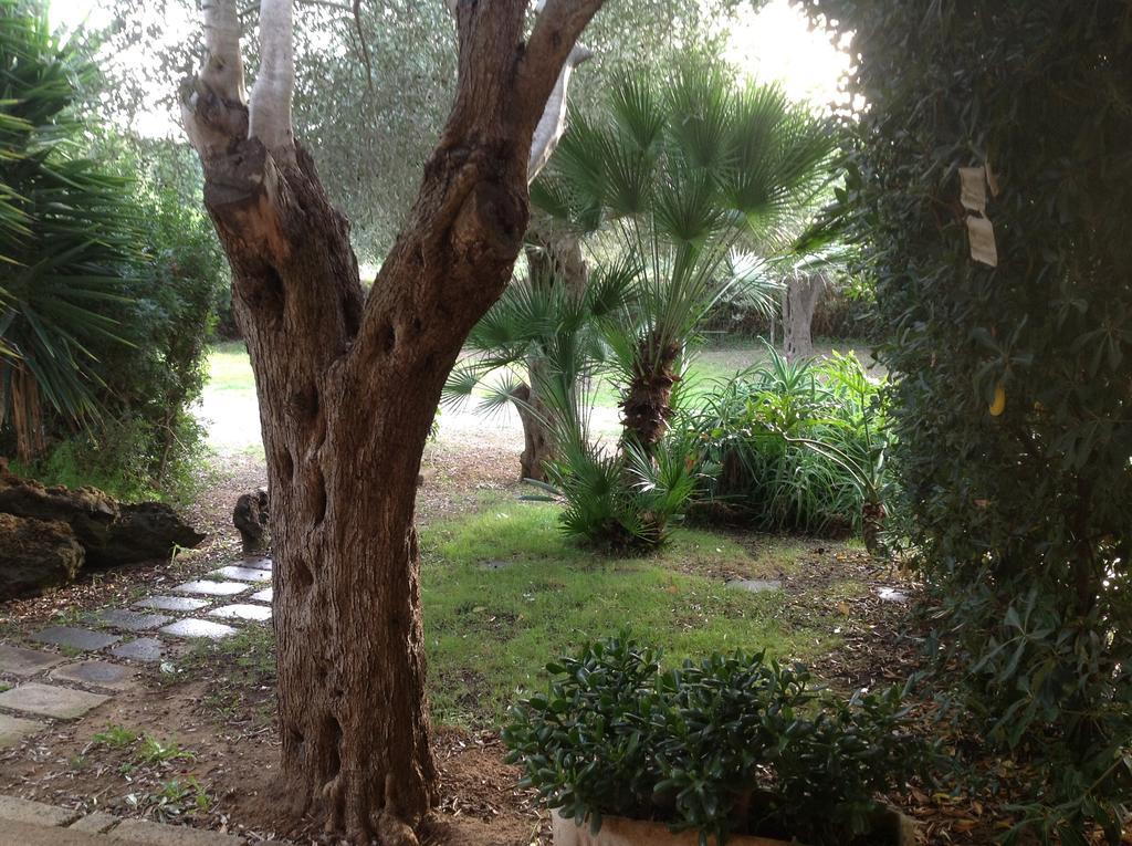 Appartement Gli Ulivi à Alghero Extérieur photo